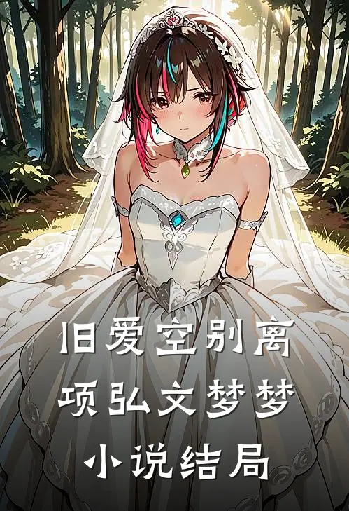 旧爱空别离项弘文梦梦小说结局