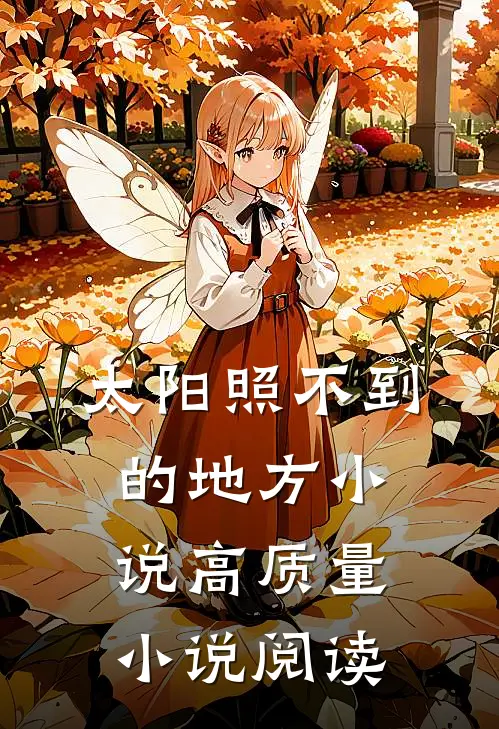 太阳照不到的地方小说高质量小说阅读