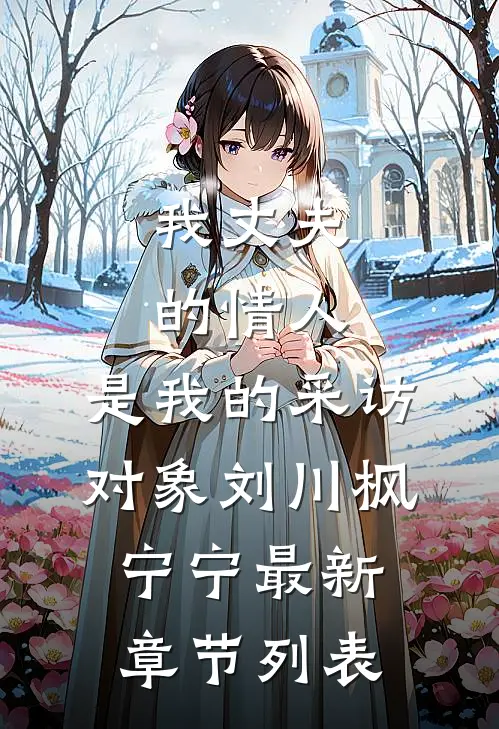 我丈夫的情人，是我的采访对象刘川枫宁宁最新章节列表