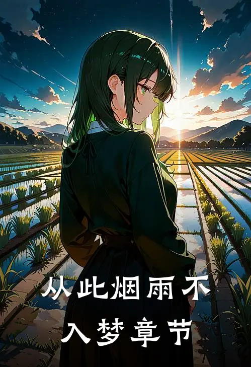 从此烟雨不入梦章节