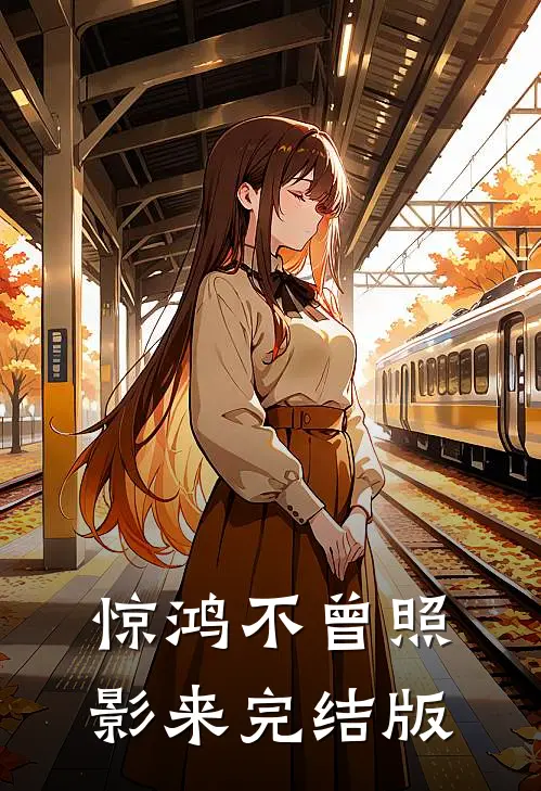 惊鸿不曾照影来完结版