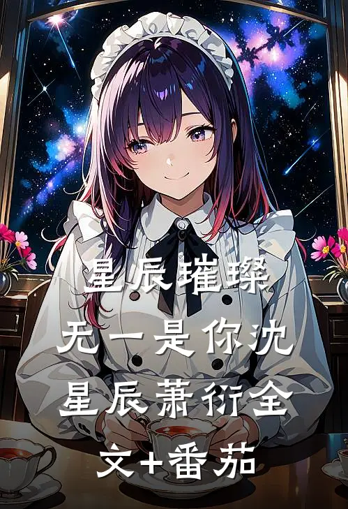 星辰璀璨，无一是你沈星辰萧衍全文+番茄