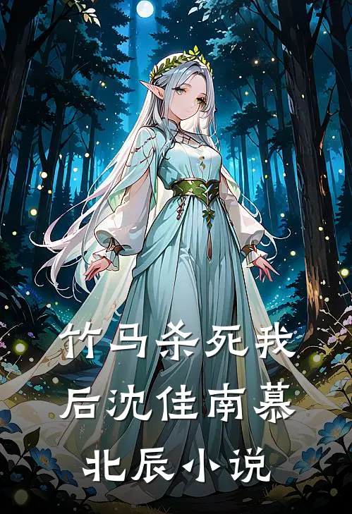 竹马杀死我后沈佳南慕北辰小说
