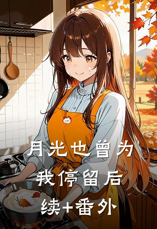 月光也曾为我停留后续+番外