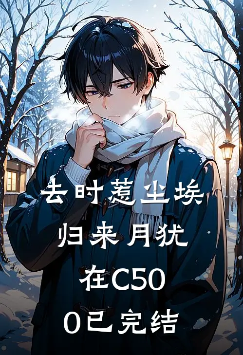 去时惹尘埃，归来月犹在C500已完结