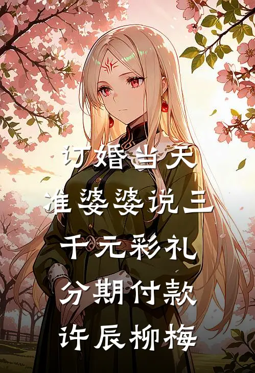 订婚当天，准婆婆说三千元彩礼分期付款许辰柳梅