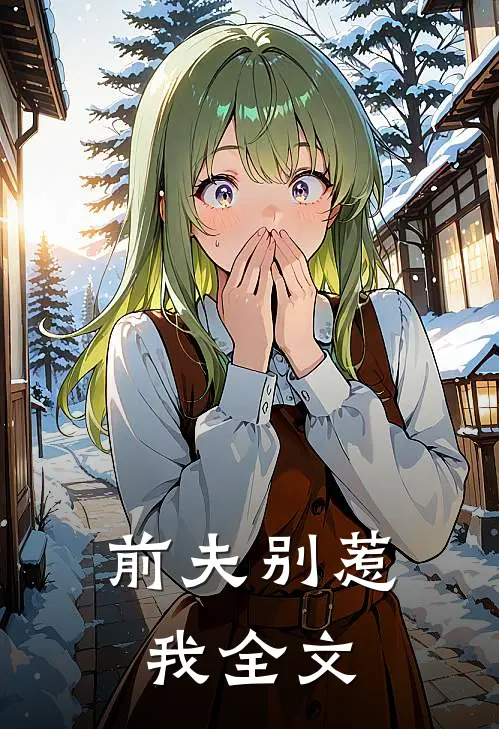 前夫别惹我全文