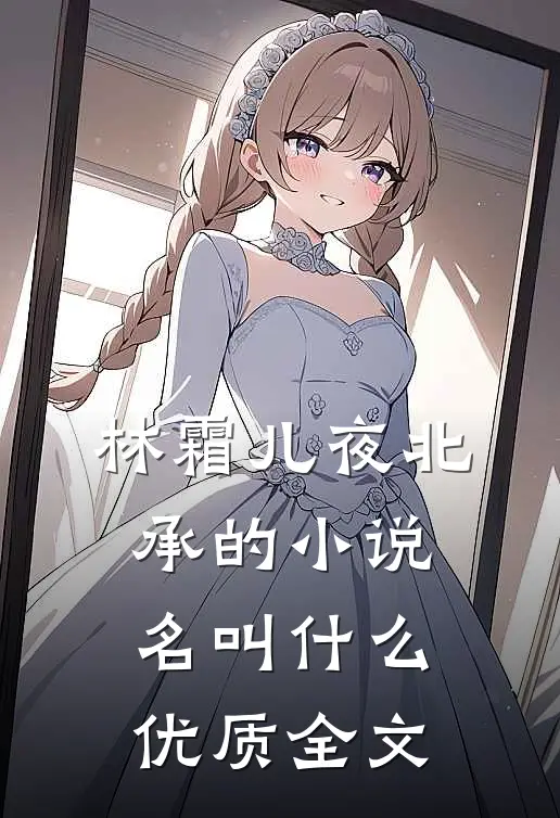 林霜儿夜北承的小说名叫什么优质全文