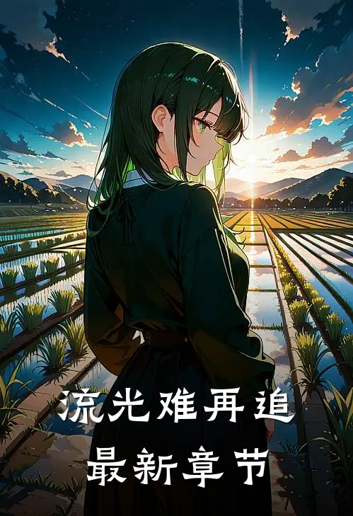 流光难再追最新章节