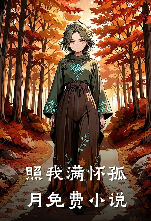 照我满怀孤月免费小说