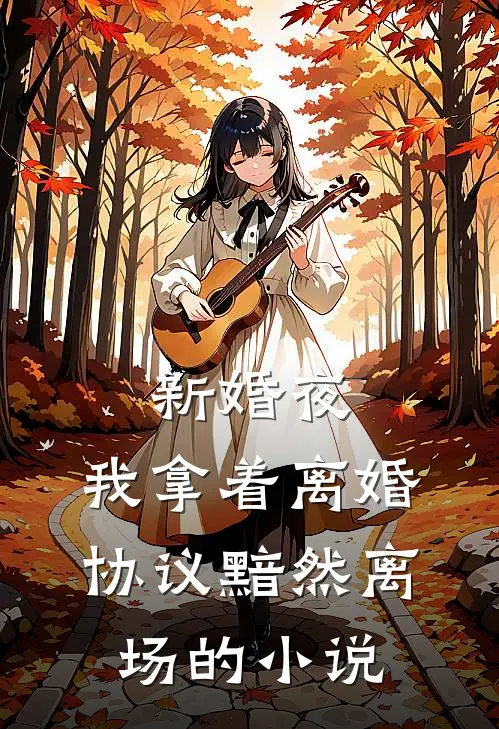 新婚夜，我拿着离婚协议黯然离场的小说