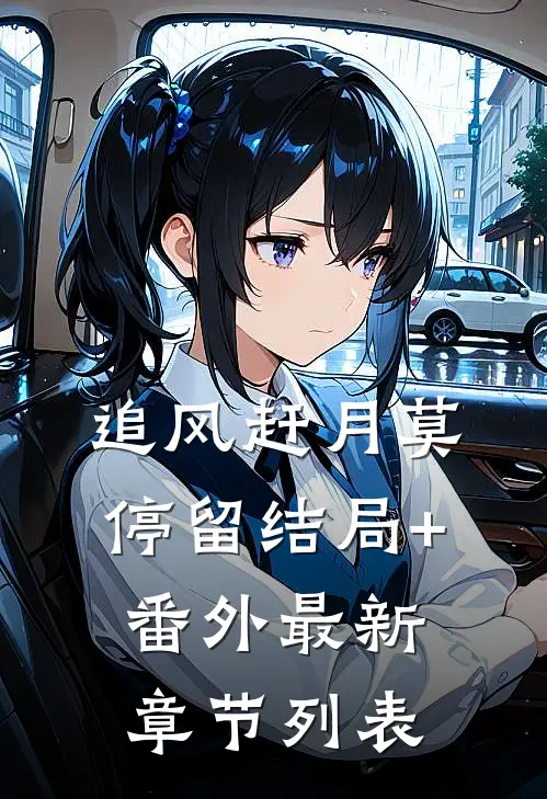 追风赶月莫停留结局+番外最新章节列表
