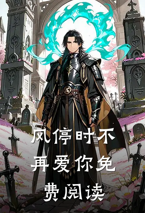 风停时不再爱你免费阅读