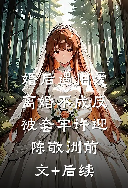 婚后遇旧爱，离婚不成反被套牢许迎陈敬洲前文+后续