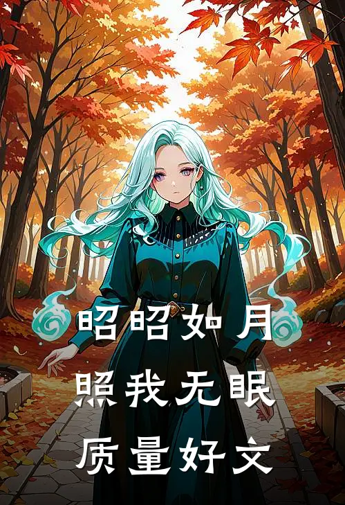 昭昭如月，照我无眠质量好文