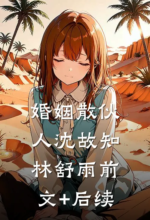 婚姻散伙人沈故知林舒雨前文+后续