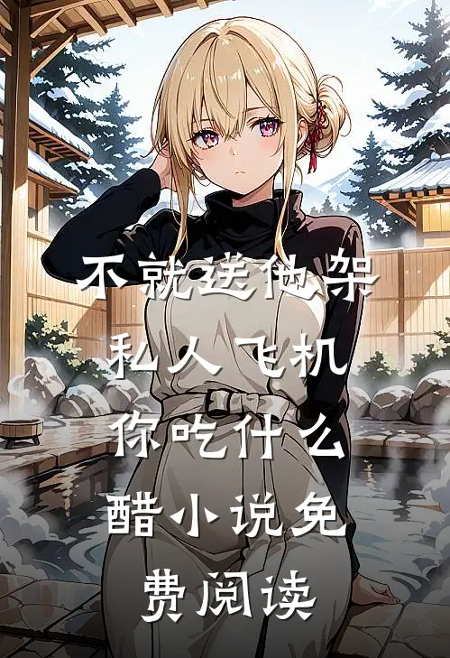 不就送他架私人飞机，你吃什么醋小说免费阅读