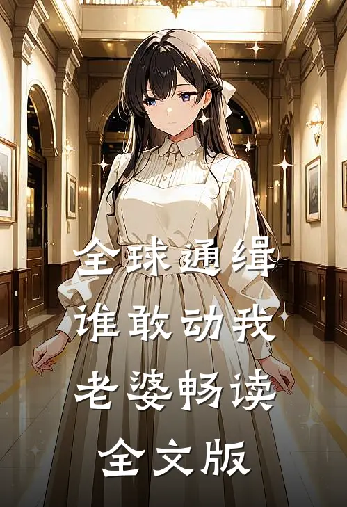 全球通缉：谁敢动我老婆畅读全文版