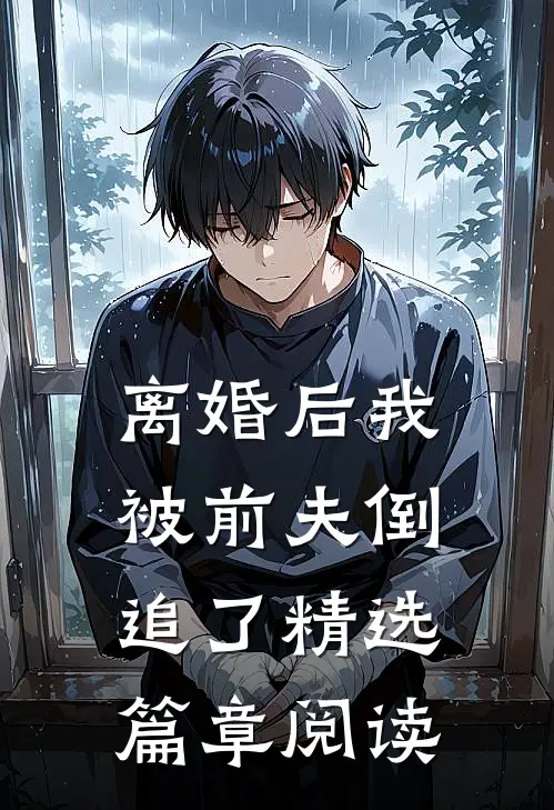 离婚后我被前夫倒追了精选篇章阅读