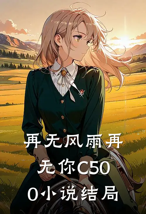 再无风雨再无你C500小说结局