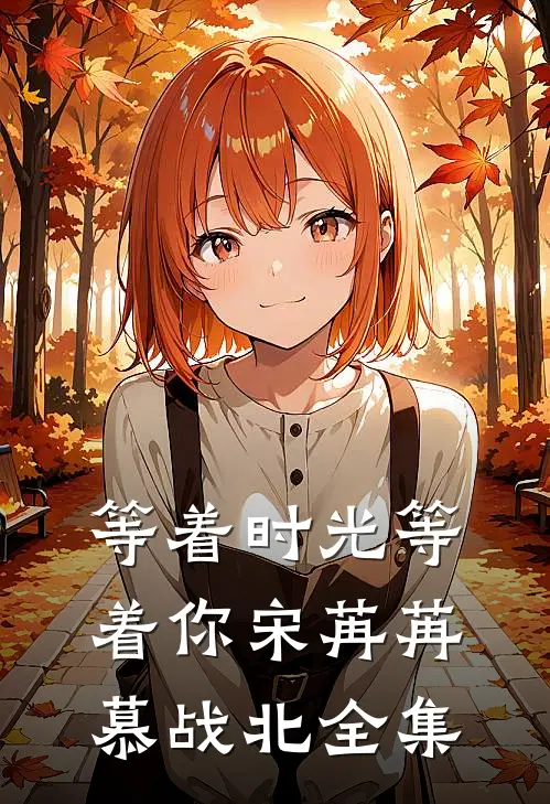 等着时光等着你宋苒苒慕战北 全集