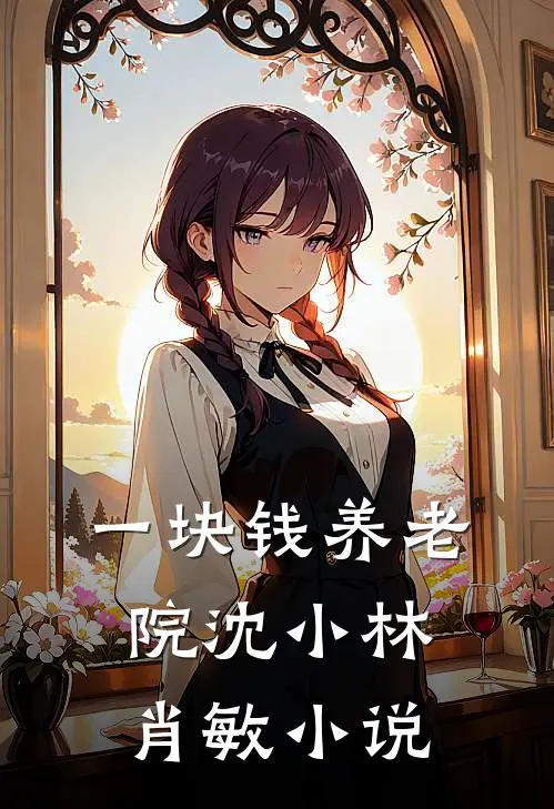 一块钱养老院沈小林肖敏小说