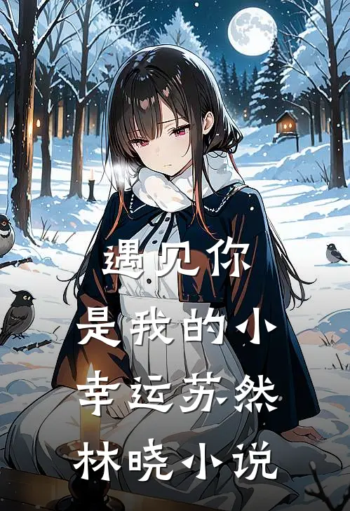 遇见你，是我的小幸运苏然林晓小说