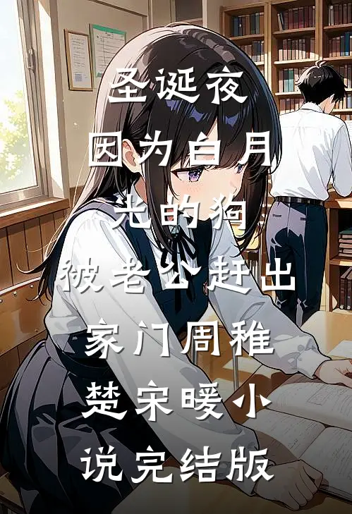 圣诞夜，因为白月光的狗，被老公赶出家门周稚楚宋暖小说完结版