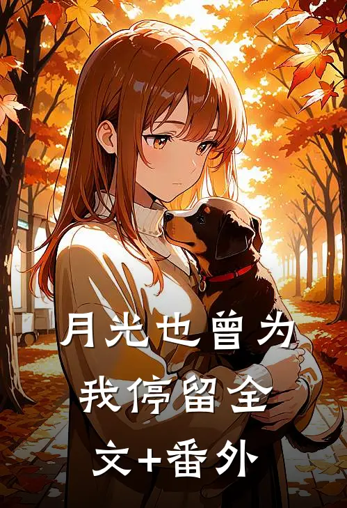 月光也曾为我停留全文+番外