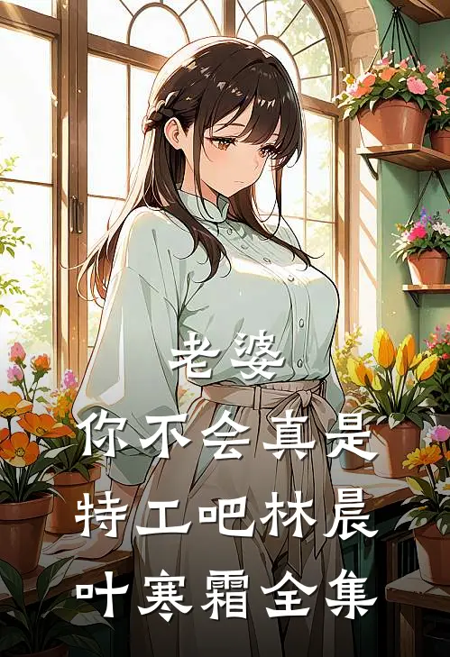 老婆，你不会真是特工吧林晨叶寒霜 全集