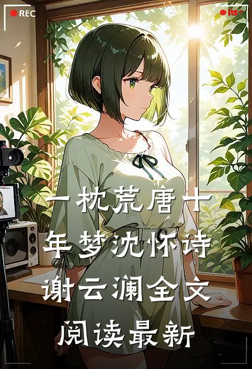 一枕荒唐十年梦沈怀诗谢云澜全文阅读最新