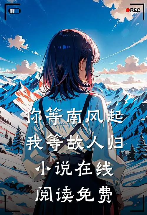 你等南风起，我等故人归小说在线阅读免费