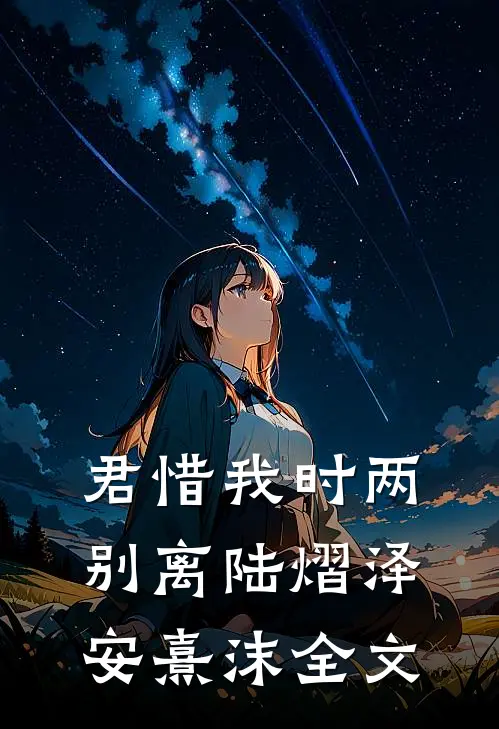君惜我时两别离陆熠泽安熹沫全文