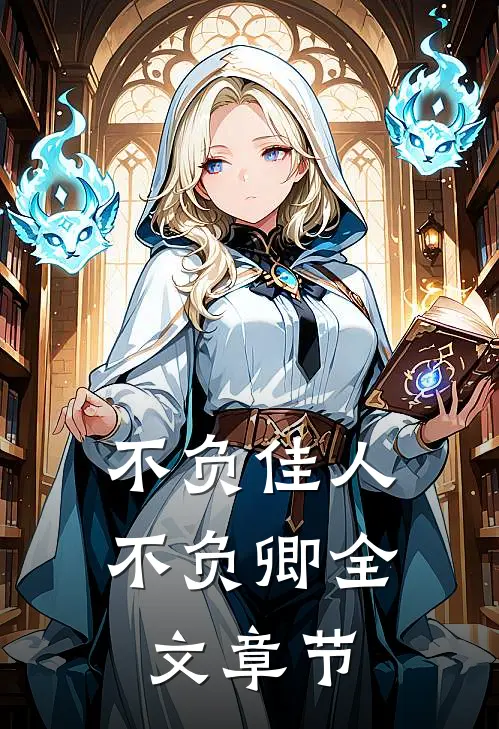不负佳人不负卿全文章节