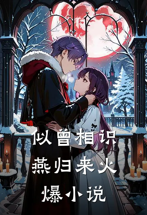 似曾相识燕归来火爆小说