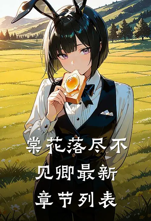 棠花落尽不见卿最新章节列表