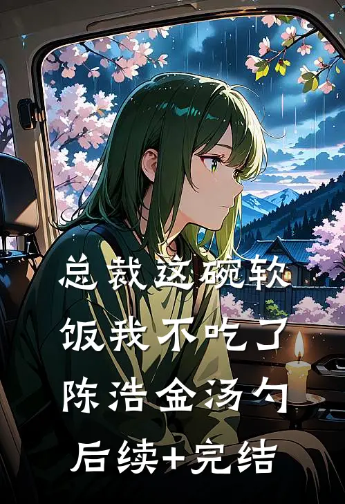 总裁这碗软饭我不吃了陈浩金汤勺后续+完结