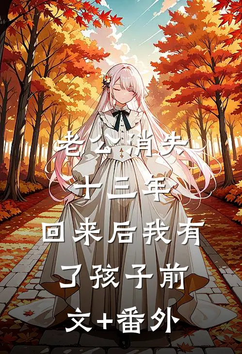 老公消失十三年，回来后我有了孩子前文+番外