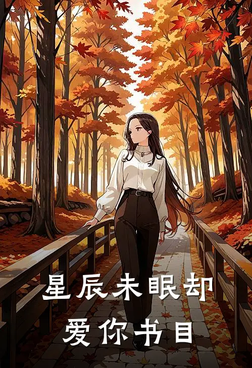 星辰未眠却爱你书目