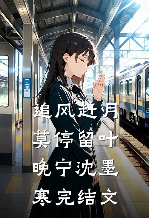 追风赶月莫停留叶晚宁沈墨寒完结文