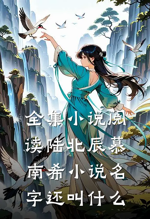 全集小说阅读陆北辰慕南希小说名字还叫什么
