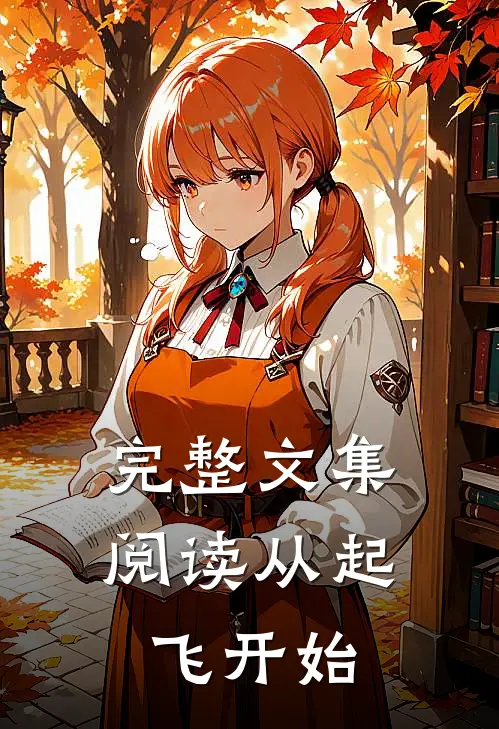 完整文集阅读从起飞开始