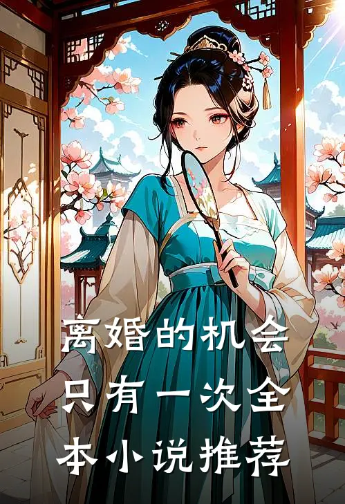 离婚的机会只有一次全本小说推荐