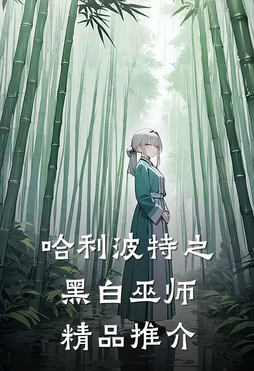 哈利波特之黑白巫师精品推介