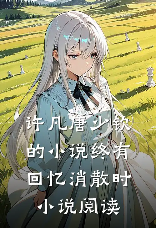 许凡唐少钦的小说终有回忆消散时小说阅读