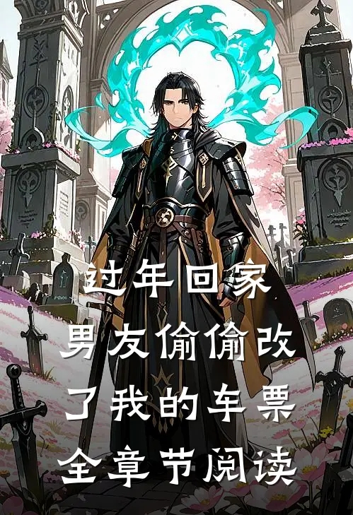 过年回家，男友偷偷改了我的车票全章节阅读