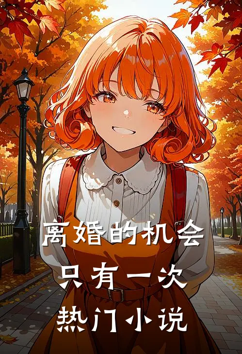 离婚的机会只有一次热门小说