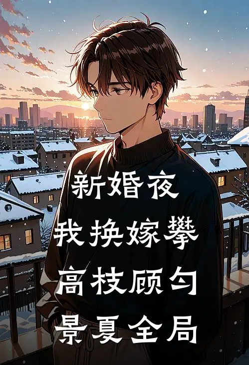 新婚夜，我换嫁攀高枝顾匀景夏全局