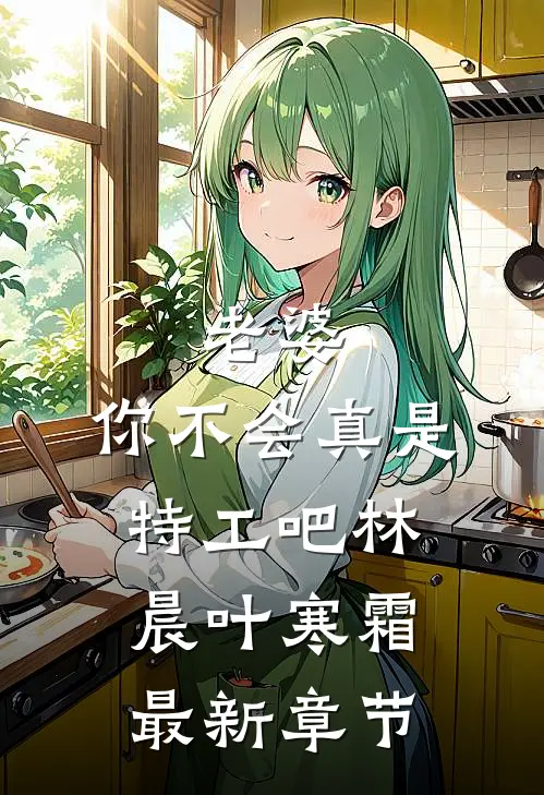 老婆，你不会真是特工吧林晨叶寒霜最新章节
