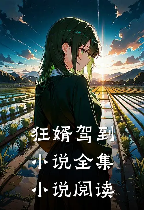 狂婿驾到 小说全集小说阅读